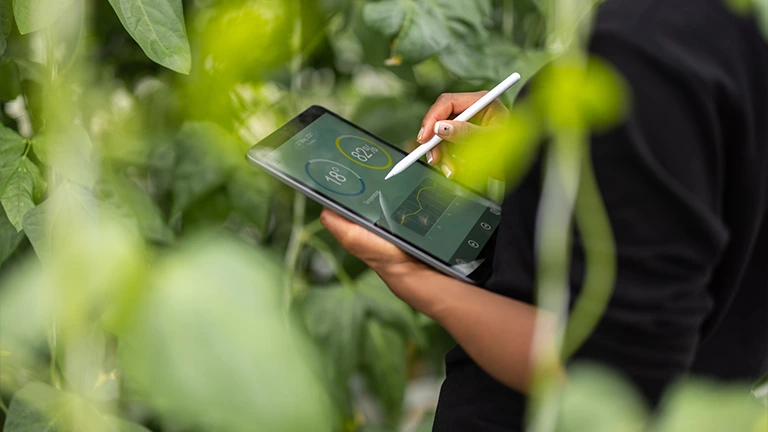 Mulheres do agro estão usando cada vez mais tecnologia para otimizar seus trabalhos e obterem sucesso em seus plantios 