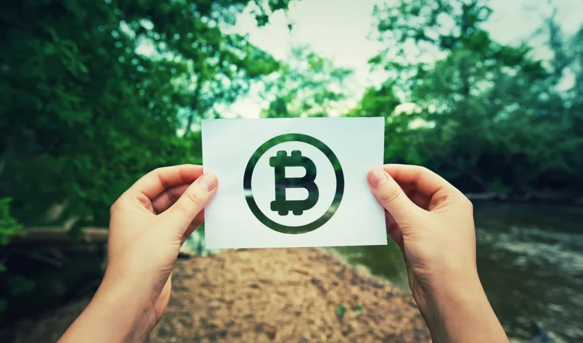 Mãos seguram um símbolo da bitcoin sob fundo da natura, o que simboliza a importância de iniciativas verdes, como o blockchain verde, dentro do universo de criptografia e mineração