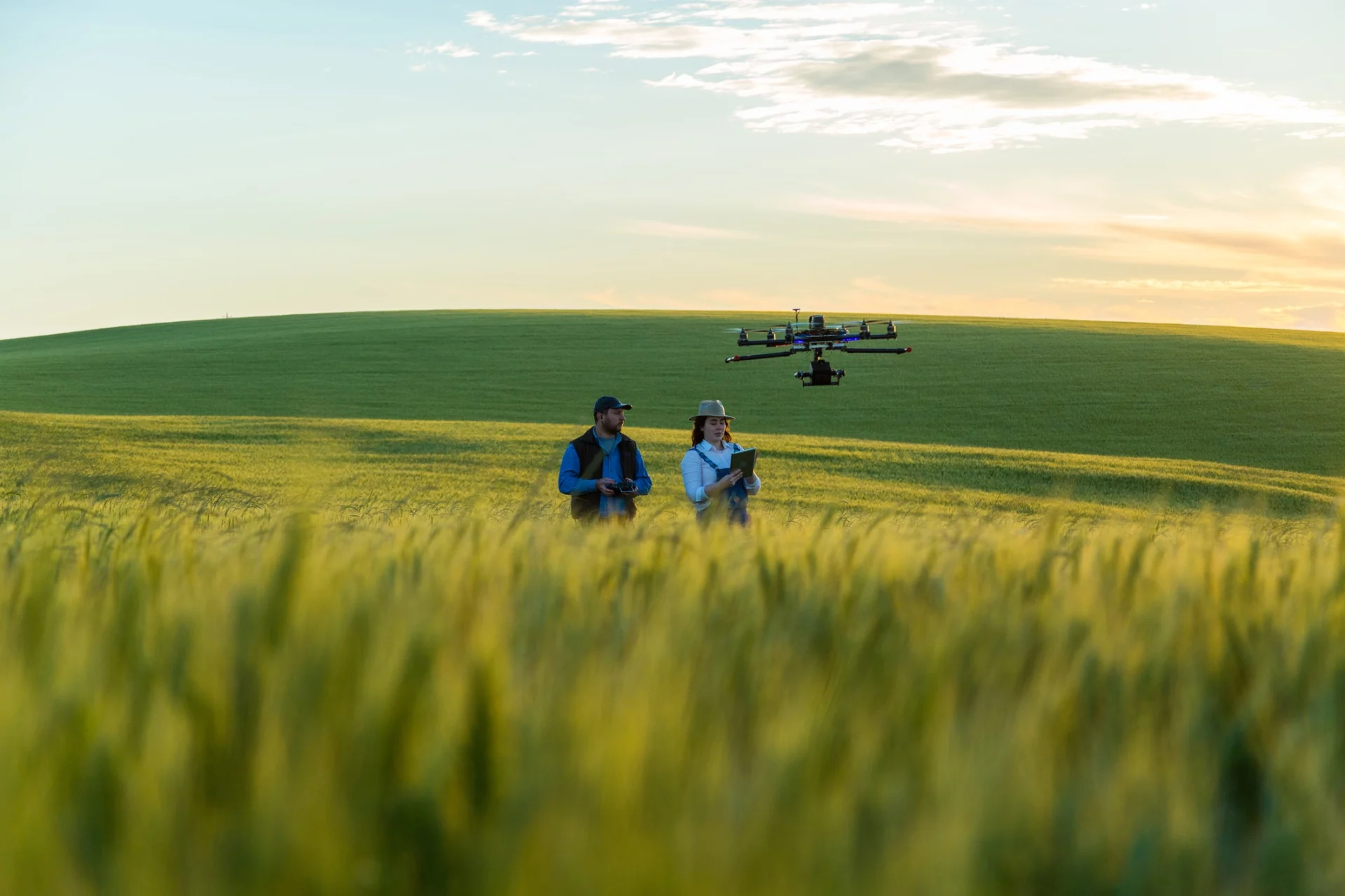 Dois agricultores em campo de trigo utilizando drone para otimizar recursos naturais e monitorar a plantação ao pôr do sol